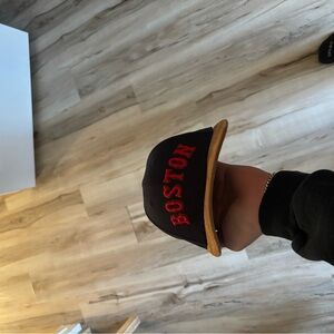 Boston Black and Tan Cap